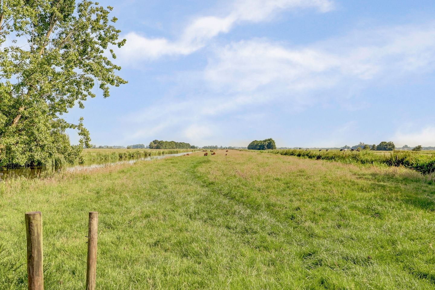 Photo 80 of Benedenberg 103