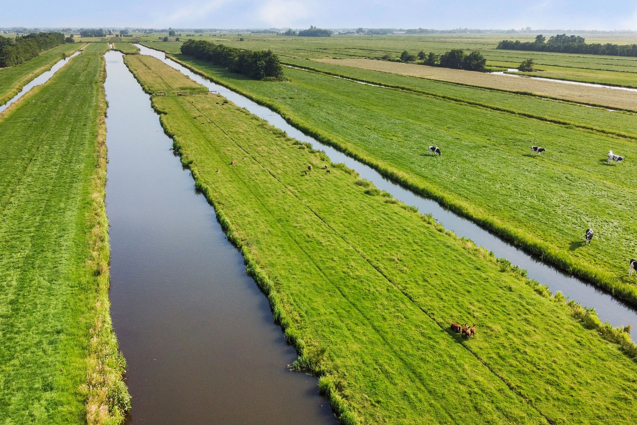 Photo 84 of Benedenberg 103