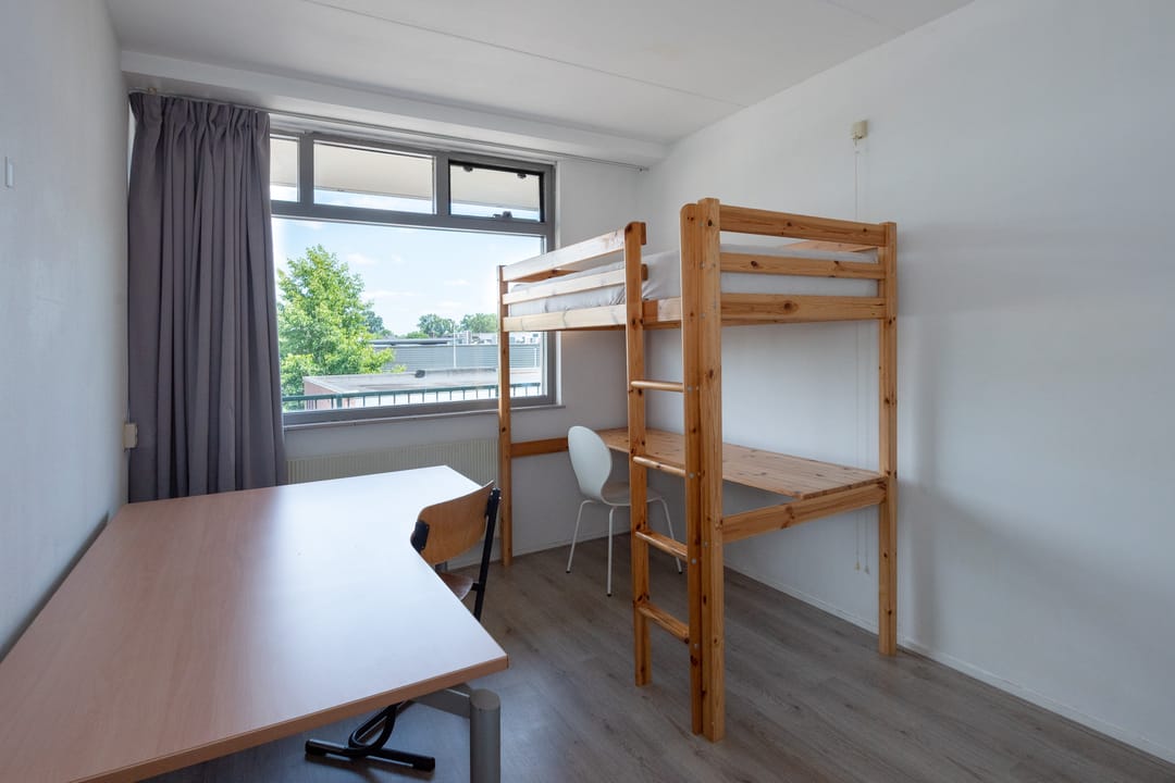 Foto 16 van Schaepmanstraat 107