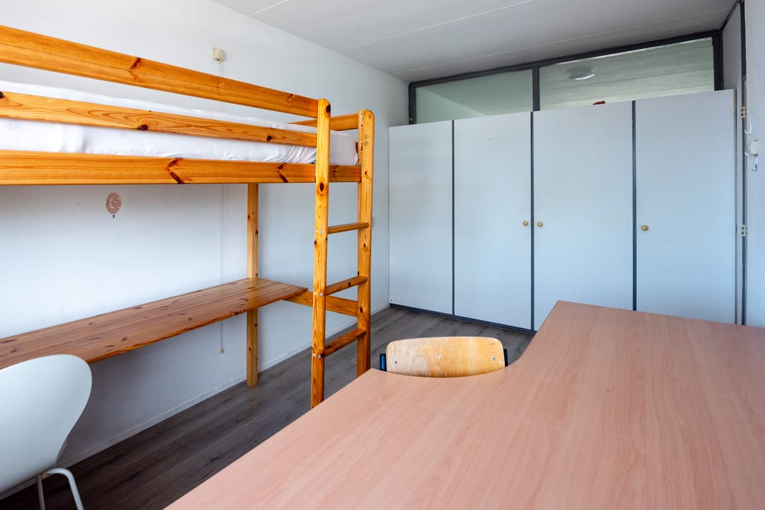 Foto 17 van Schaepmanstraat 107