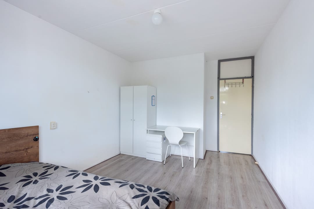 Foto 13 van Schaepmanstraat 107