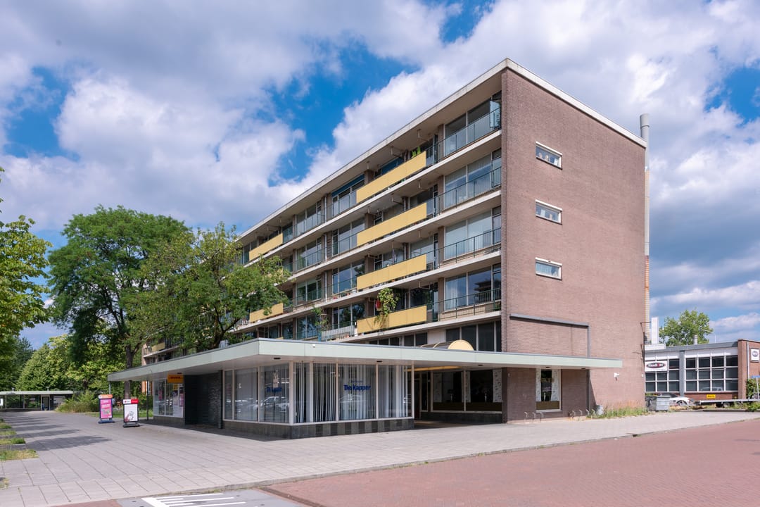 Foto 26 van Schaepmanstraat 107