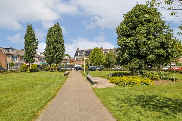 Foto 35 van Schweitzerplein 1