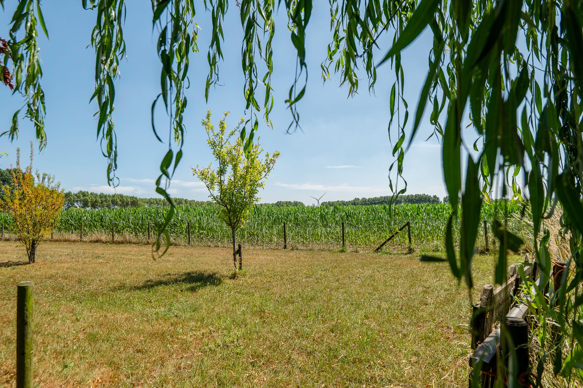 Foto 30 van Molenweg 25-A