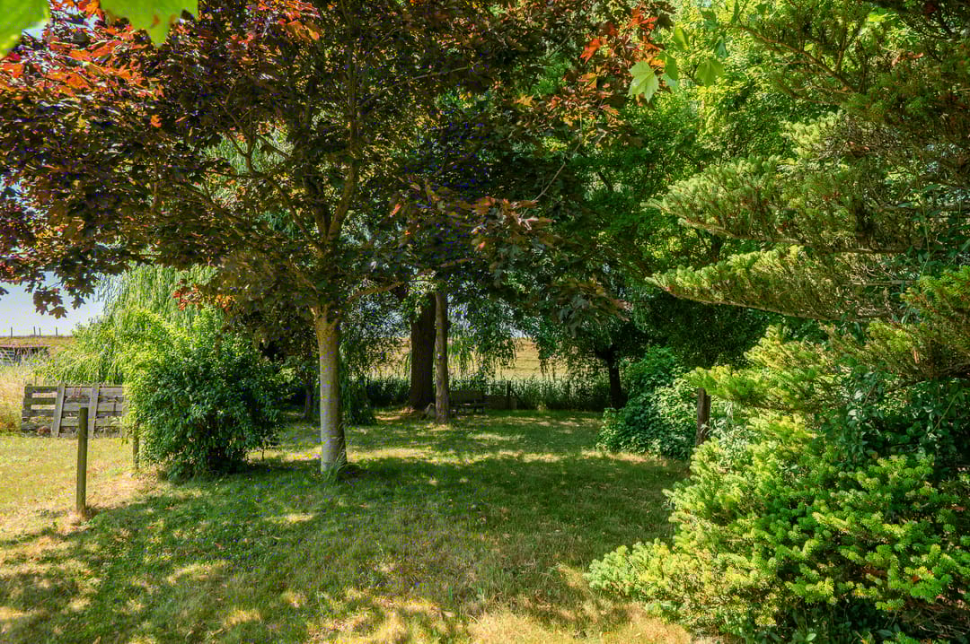 Foto 31 van Molenweg 25-A