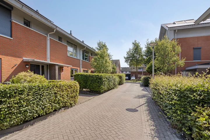 Foto 5 van Kuifvlinder 6