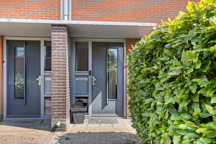 Foto 6 van Kuifvlinder 6