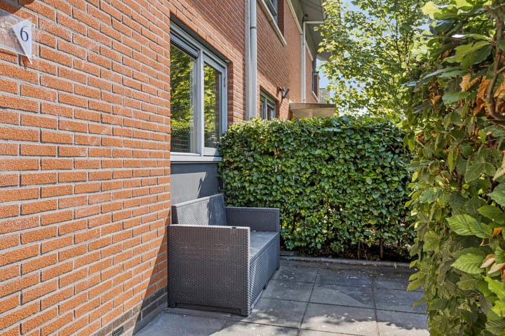 Foto 7 van Kuifvlinder 6