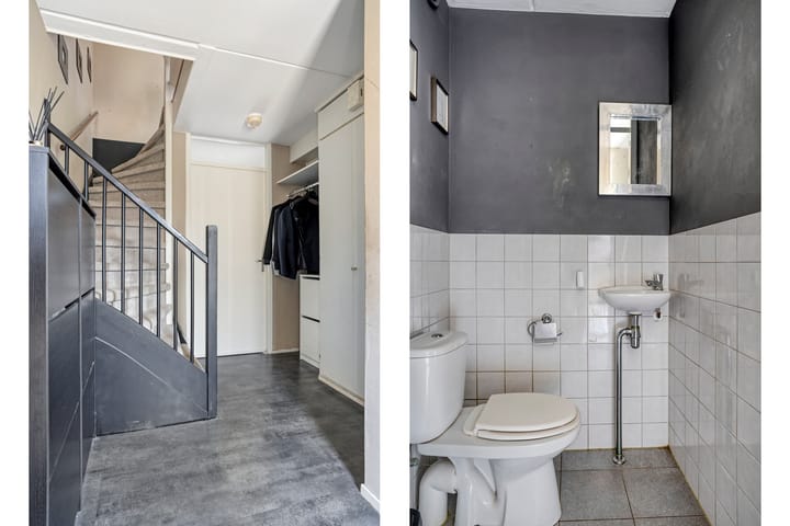 Foto 8 van Kuifvlinder 6