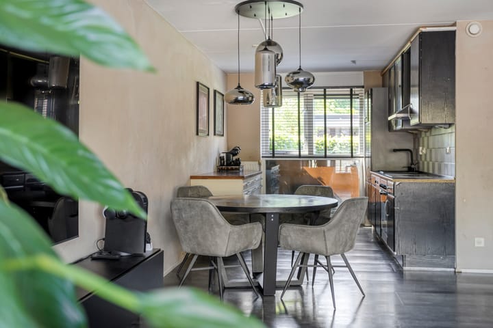 Foto 11 van Kuifvlinder 6