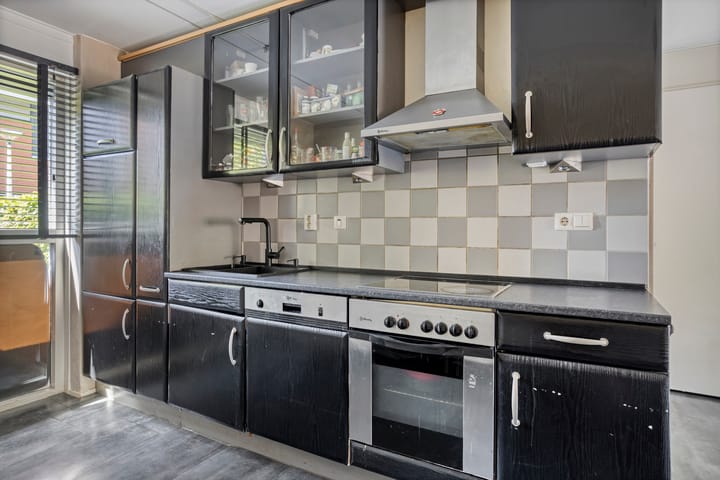 Foto 14 van Kuifvlinder 6