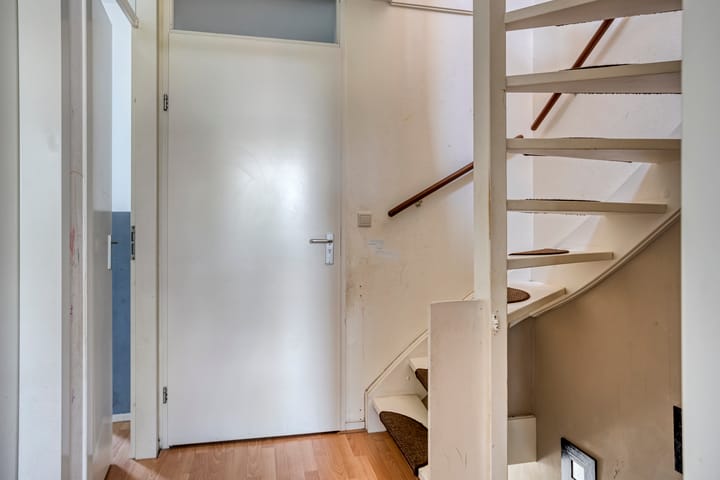 Foto 15 van Kuifvlinder 6