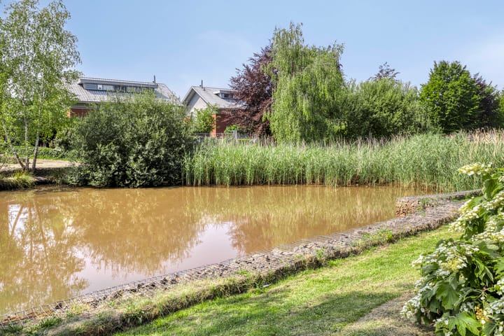 Foto 28 van Kuifvlinder 6