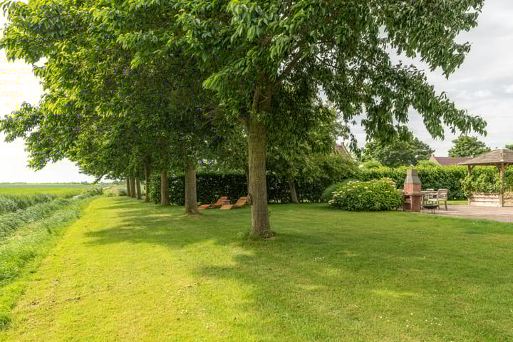 Photo 10 of Bargereed 106