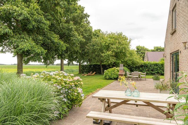 Photo 13 of Bargereed 106