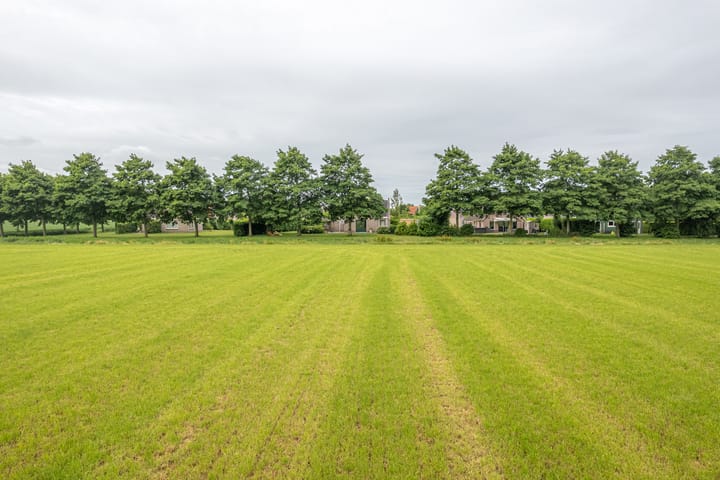 Photo 39 of Bargereed 106