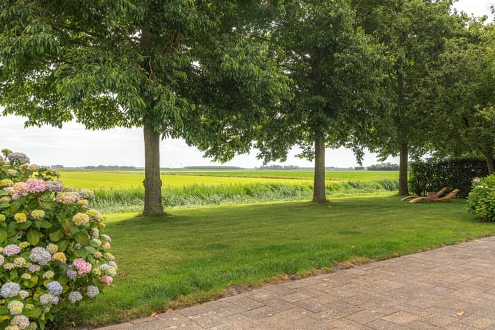 Photo 11 of Bargereed 106