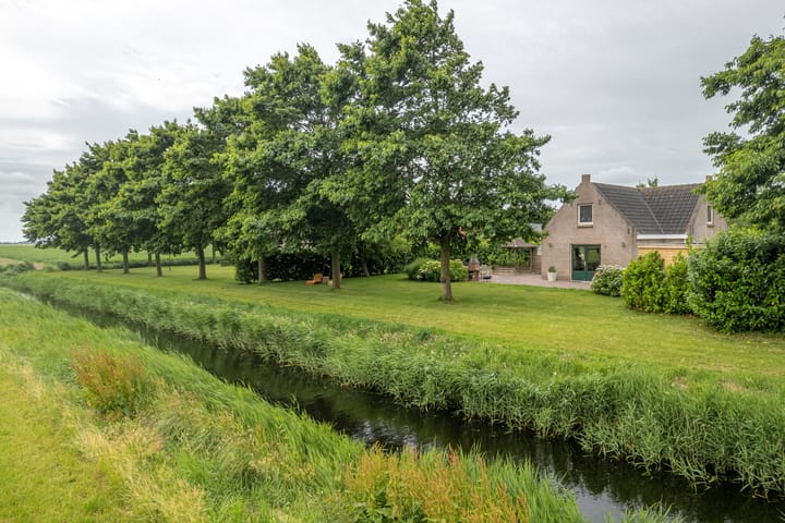 Photo 41 of Bargereed 106