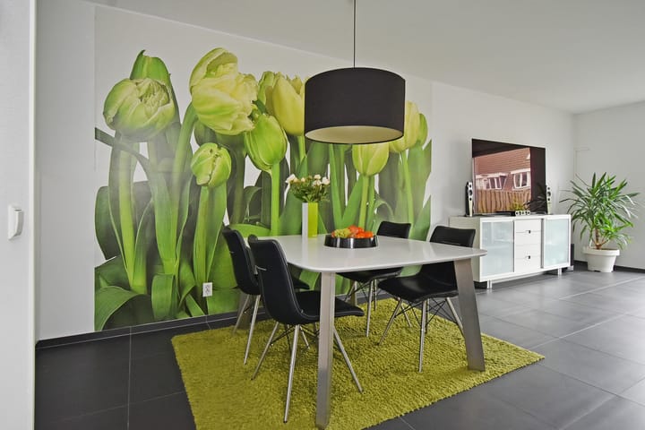 Foto 10 van Sneekermeerplantsoen 44