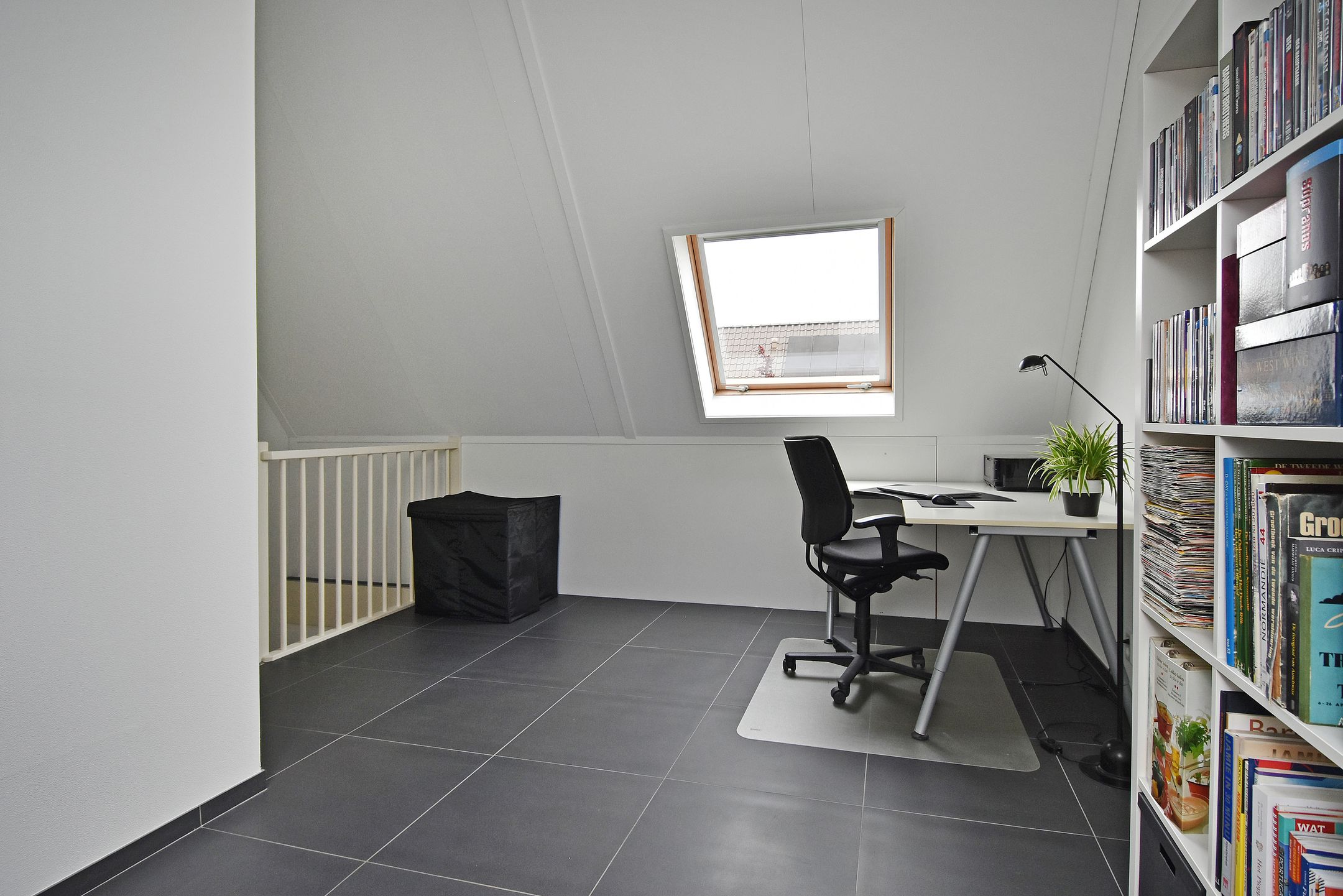 Foto 27 van Sneekermeerplantsoen 44