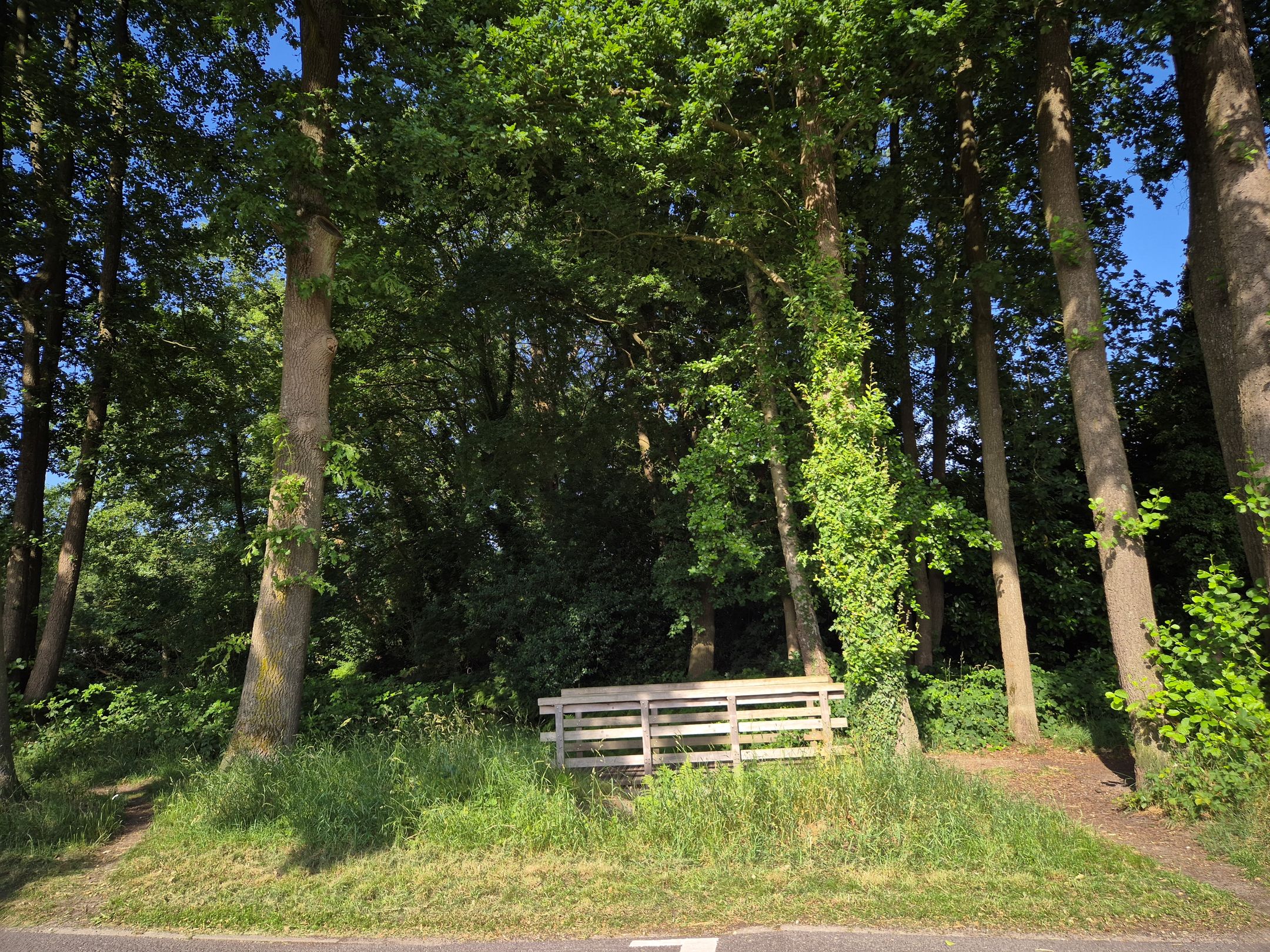 Foto 63 van Horstweg 14-A