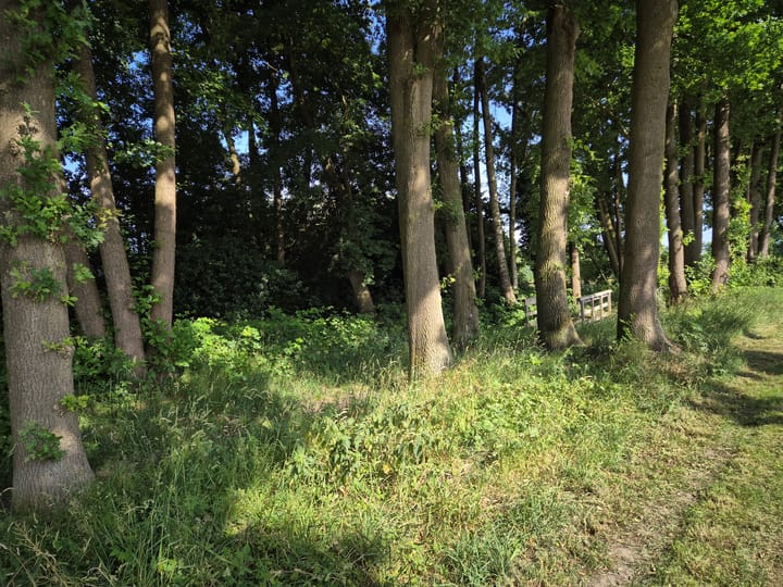 Foto 65 van Horstweg 14-A