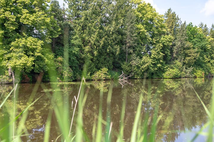 Foto 78 van Prins Mauritsstraat 1