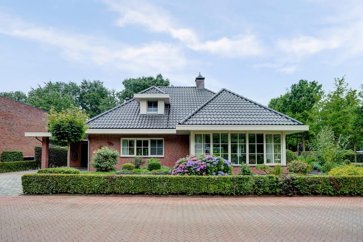 Foto 1 van Weidegeelster 4