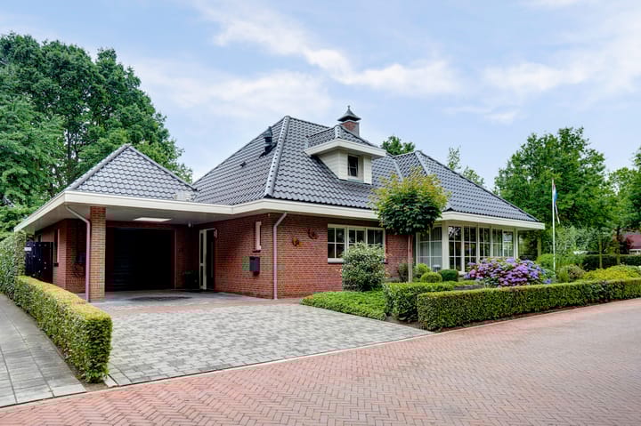 Foto 3 van Weidegeelster 4