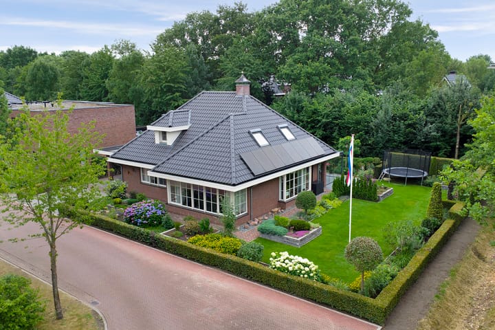 Foto 4 van Weidegeelster 4