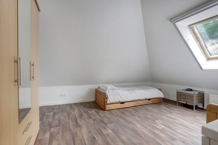 Foto 50 van Weidegeelster 4