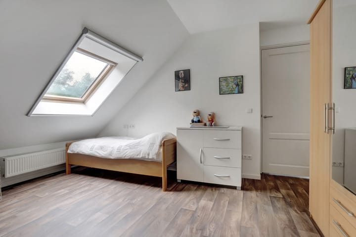 Foto 51 van Weidegeelster 4