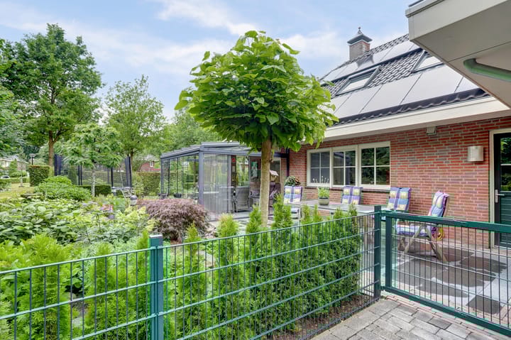 Foto 65 van Weidegeelster 4