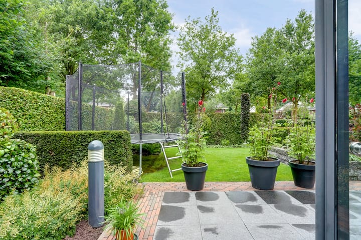 Foto 68 van Weidegeelster 4