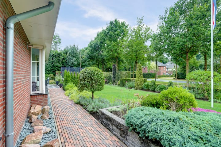 Foto 71 van Weidegeelster 4