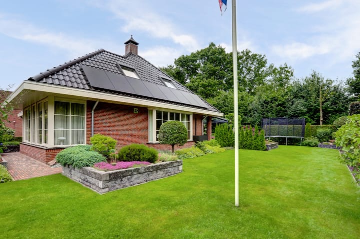 Foto 72 van Weidegeelster 4