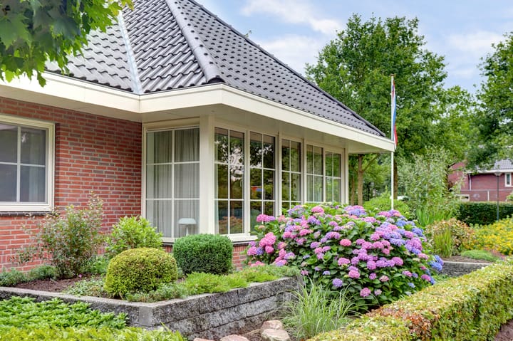 Foto 73 van Weidegeelster 4