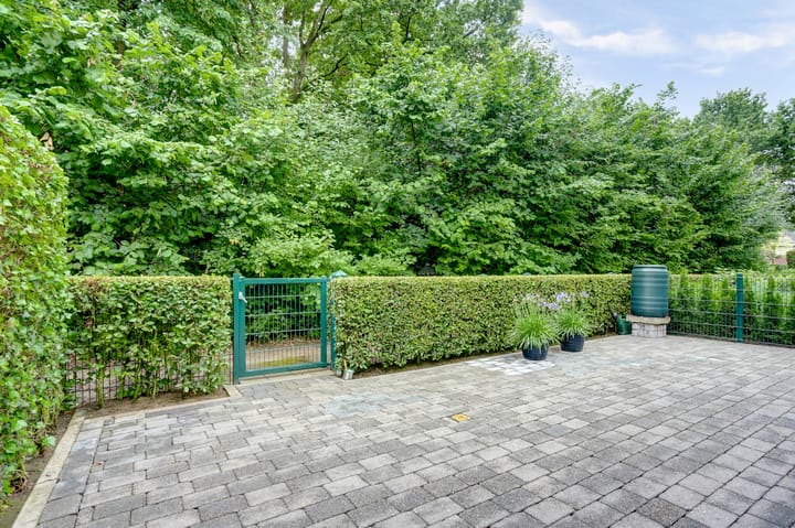 Foto 74 van Weidegeelster 4