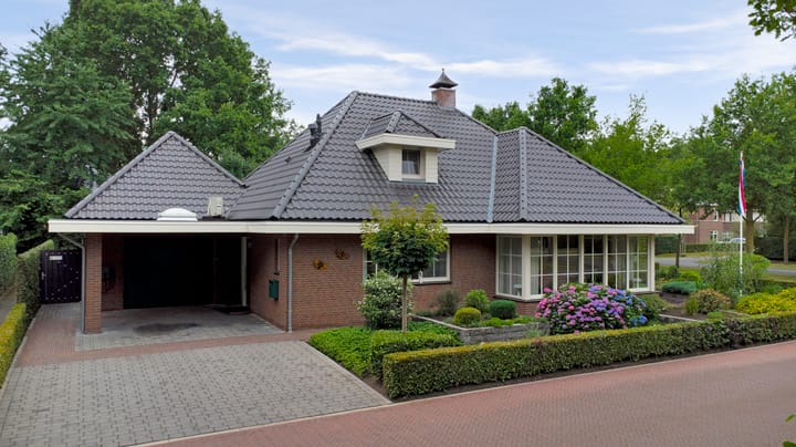 Foto 76 van Weidegeelster 4