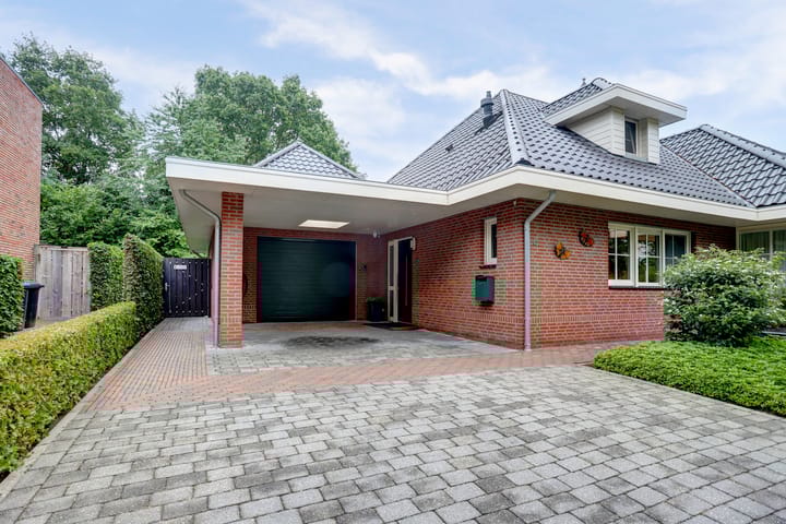 Foto 77 van Weidegeelster 4