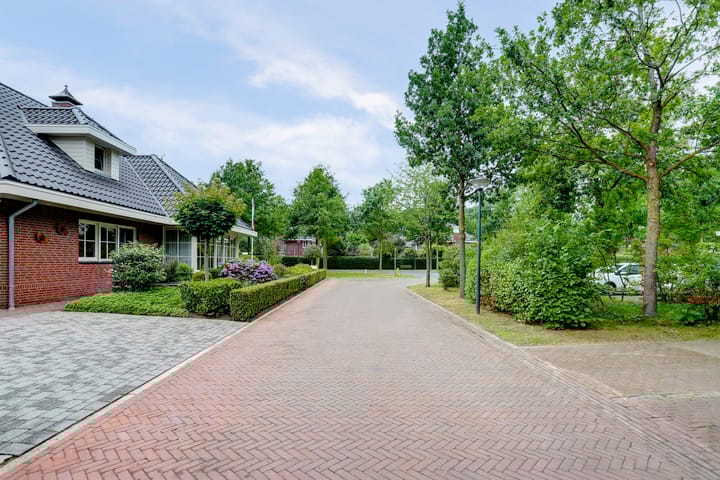 Foto 78 van Weidegeelster 4