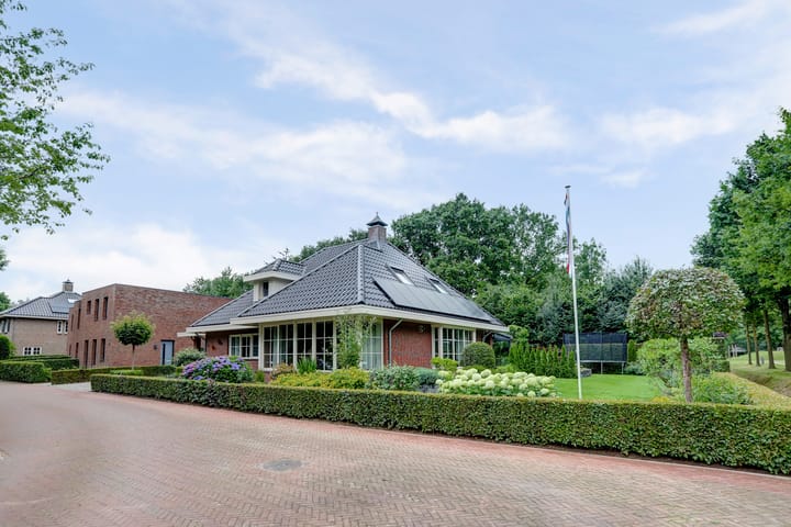 Foto 79 van Weidegeelster 4