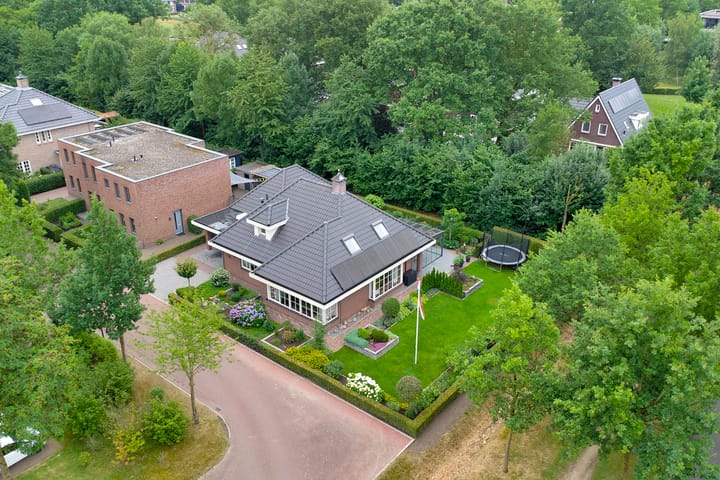 Foto 82 van Weidegeelster 4