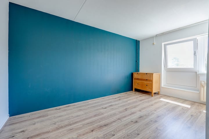 Foto 12 van Karveel 53 50