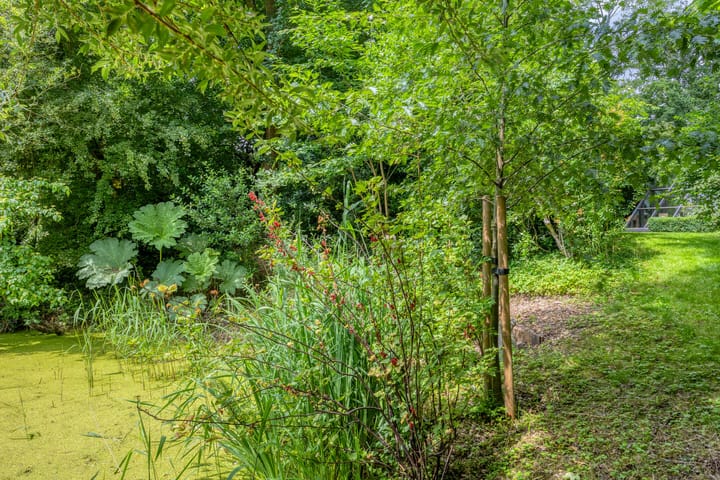 Photo 67 of Boeier 01 8