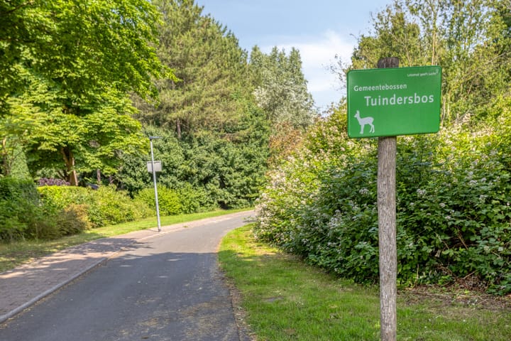 Photo 75 of Boeier 01 8