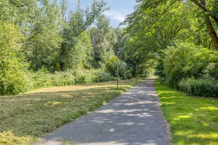 Photo 76 of Boeier 01 8