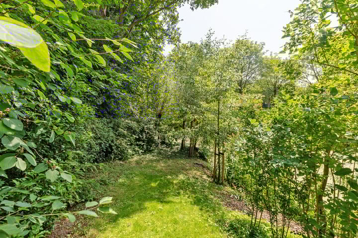 Photo 80 of Boeier 01 8