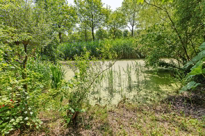 Photo 82 of Boeier 01 8