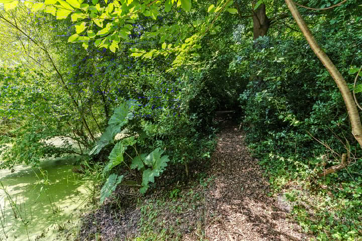 Photo 84 of Boeier 01 8